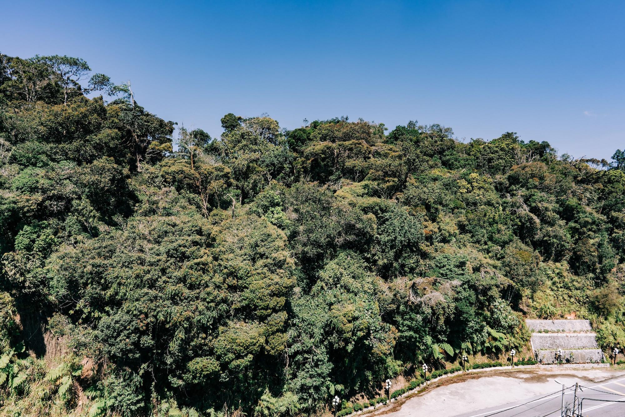 Hotel De' La Ferns, Cameron Highlands Exterior photo